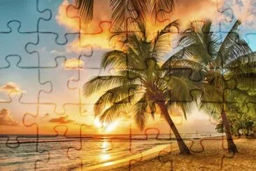 Palmtree jigsaw puzzle
