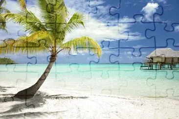 Palmtree jigsaw puzzle