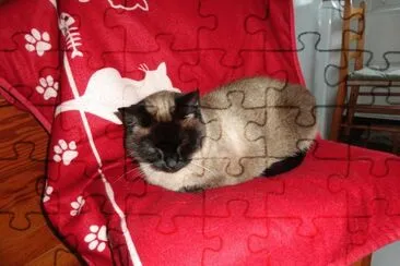 misette jigsaw puzzle