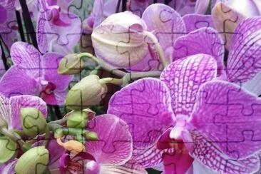 Flores Violetas jigsaw puzzle