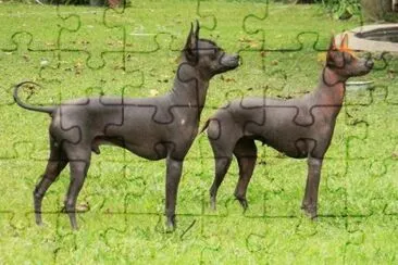 Pila argentino jigsaw puzzle