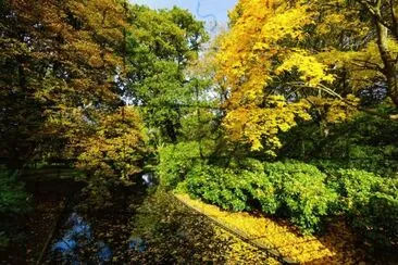 imagem jigsaw puzzle