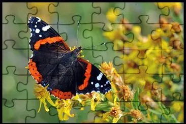 Vulcano jigsaw puzzle