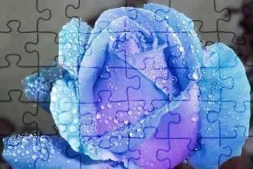 imagem jigsaw puzzle