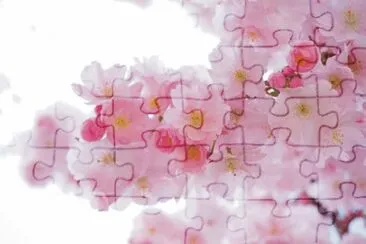 flowers jigsaw puzzle