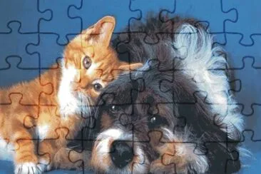 cats and dogs jigsaw puzzle