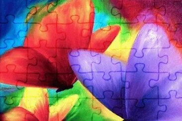 Amazing Butterflies jigsaw puzzle