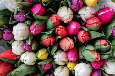 Tulips jigsaw puzzle