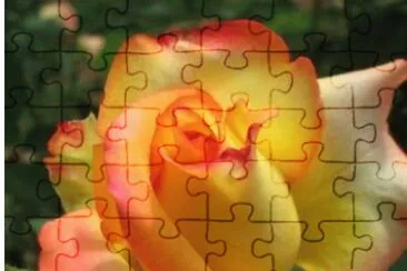 foto jigsaw puzzle