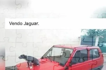 jaguar