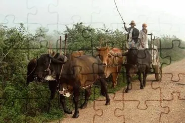 imagem jigsaw puzzle