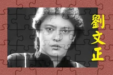 Taiwan Superstar Liu Wenzheng jigsaw puzzle