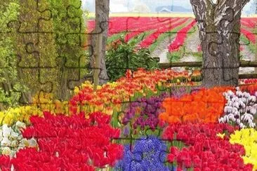foto jigsaw puzzle