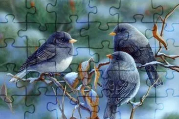 Little birds
