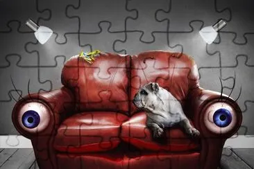 sofin jigsaw puzzle