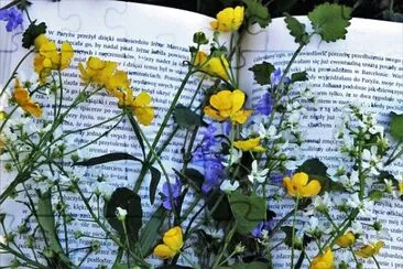 llibre jigsaw puzzle