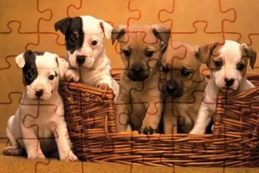 goss jigsaw puzzle