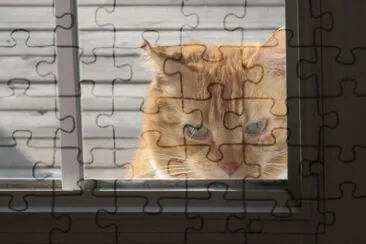 Peek-a-boo!  Anybody home?