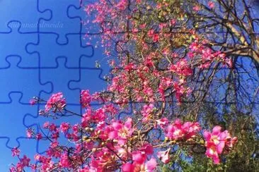 imagem jigsaw puzzle