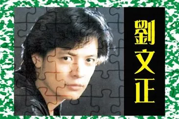 פאזל של å°ç£åŠ‰æ–‡æ­£