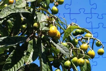 apulien jigsaw puzzle