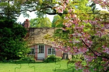 55gf jigsaw puzzle