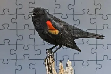 Ittero alirosse jigsaw puzzle