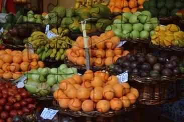 Frutas jigsaw puzzle