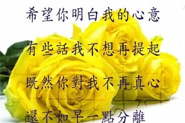åŠ‰æ–‡æ­£ é»ƒè‰²çš„çŽ«ç‘° jigsaw puzzle