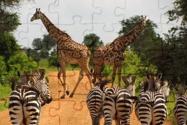 Back ground (LOL) jigsaw puzzle