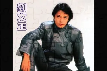 å°ç£åŠ‰æ–‡æ­£