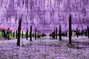 BOSQUE EN JAPON jigsaw puzzle