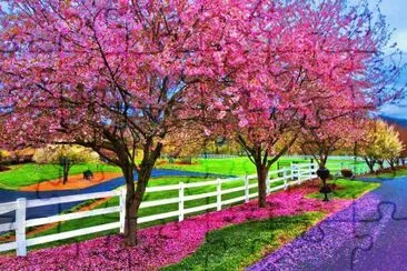 Ã¡rboles de colores jigsaw puzzle