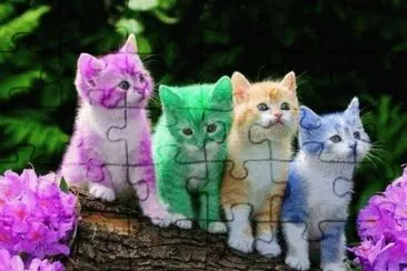 unos lindo gatitos jigsaw puzzle