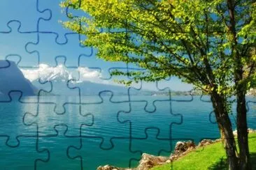 lago jigsaw puzzle