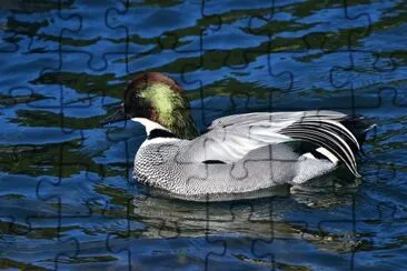 Falcated jigsaw puzzle