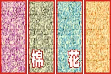 æ£‰èŠ± jigsaw puzzle