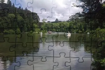 Lago Negro em Gramado  - RS jigsaw puzzle
