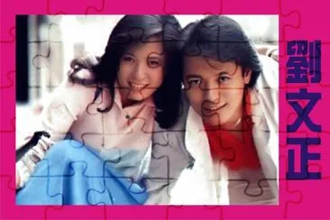 å°ç£ åŠ‰æ–‡æ­£ jigsaw puzzle