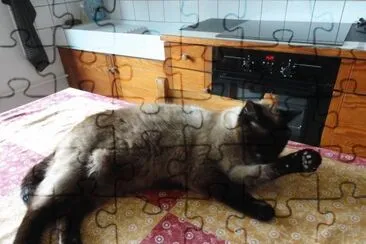 mia jigsaw puzzle