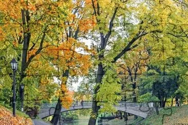 imagem jigsaw puzzle