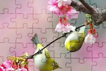 imagem jigsaw puzzle