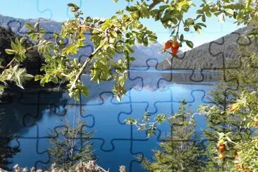 villa la angostura argentina