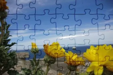 puerto madryn argentina jigsaw puzzle