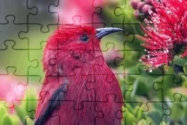 imagem jigsaw puzzle