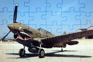 TIGRE VOLADOR P40
