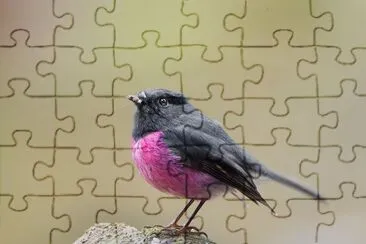 Balia ventrerosa jigsaw puzzle