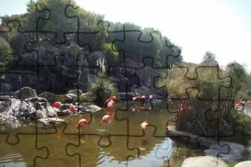 temayken argentina jigsaw puzzle