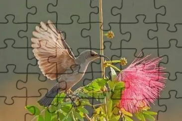 imagem jigsaw puzzle