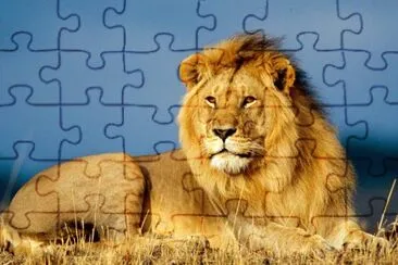 lleÃ³ jigsaw puzzle